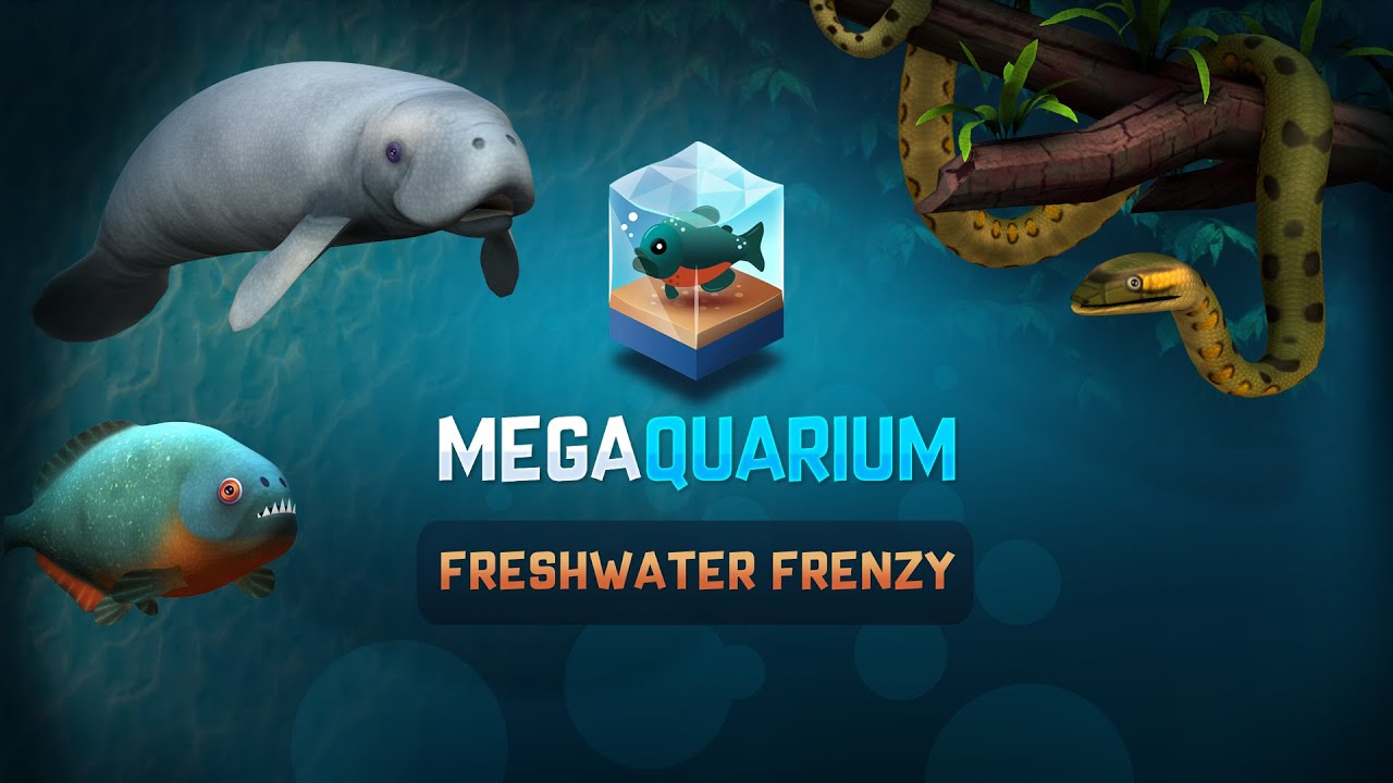 Megaquarium Freshwater Frenz